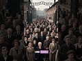 5 Fakten über Auschwitz – niemals vergessen 🕯️