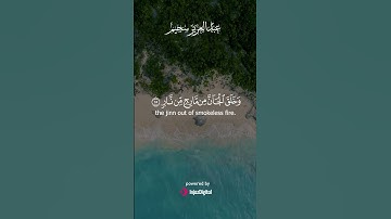 لحظات تلاوة تنعش الروح | بصوت القارئ عبدالعزيز سحيم