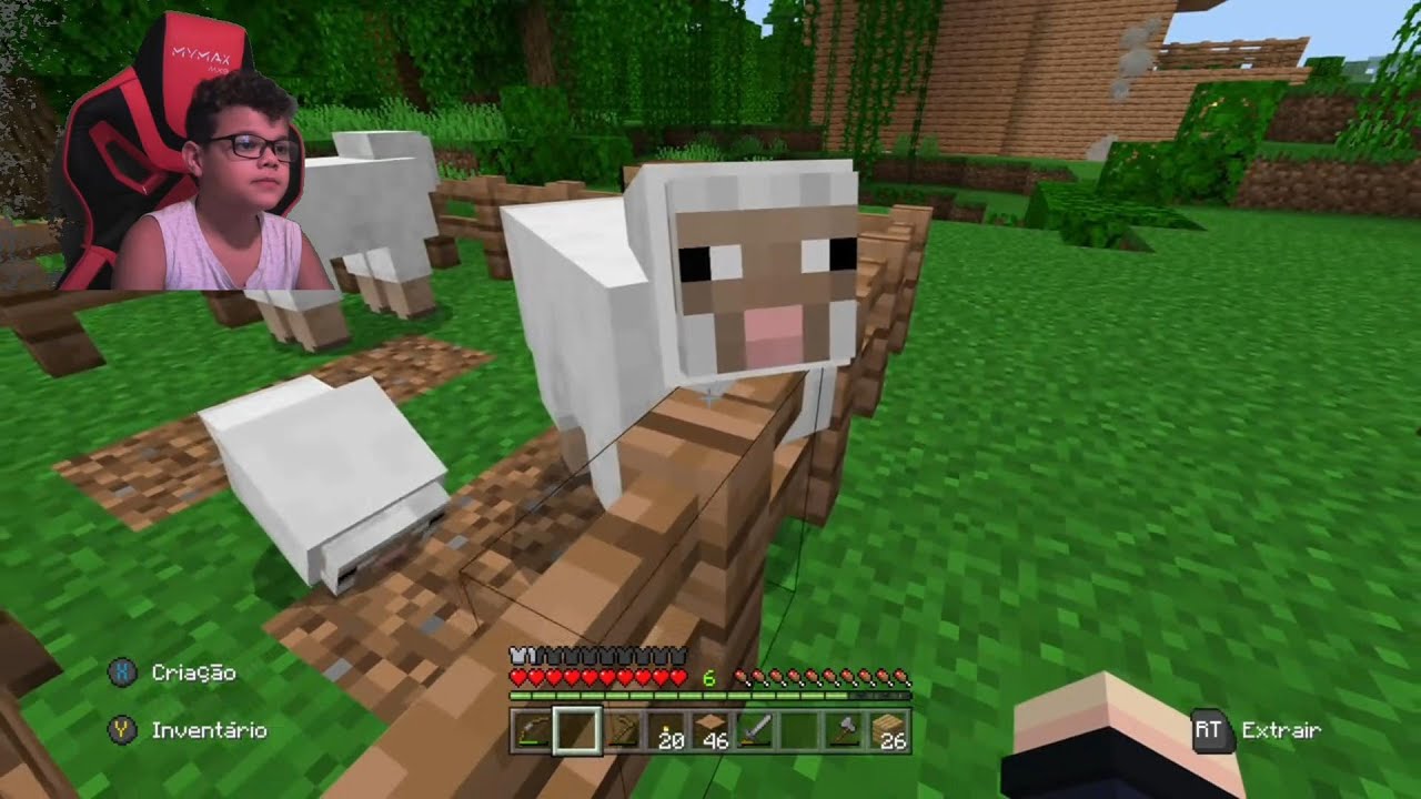 Fazenda primeiros passos- Bois e ovelhas dando filhotes no Minecraft ...