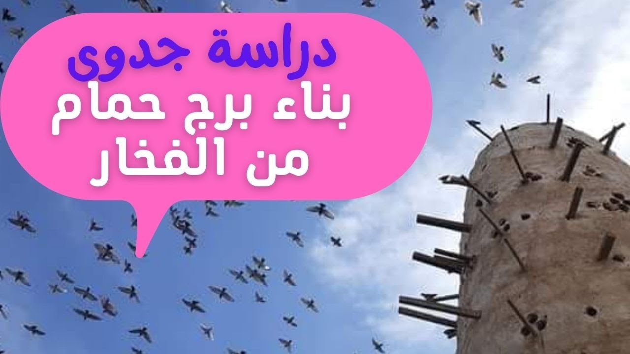 لاول مره على اليوتيوب دراسه جدوى بناء برج حمام من الفخار بكافة التفاصيل للتكاليف والايرادات لاول مره على اليوتيوب دراسه جدوى بناء برج حمام من الفخار بكافة التفاصيل للتكاليف والايرادات