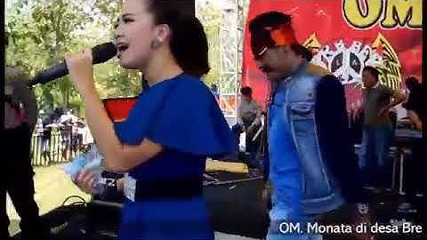 Rena KDI ~ TKW | Dangdut Koplo OM MONATA Terbaru 2017
