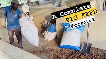 This is How to Make the Most QUALITY Pig Feed (Comprehensive Guide)