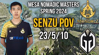 Senzu POV CS2 TheMongolz vs Gaimin Gladiators MESA Nomadic Masters Spring 2024 (23/5/10)