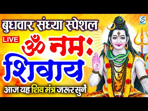 Live ॐ नम शवय धन Om Namah Shivaya Shivdhun Nonstop Shivdhun Daily Mantra Live ॐ नम शवय धन Om Namah Shivaya Shivdhun Nonstop Shivdhun Daily Mantra