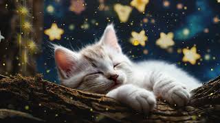 LULLABY with cute forest kitty. Quick and healthy sleep for babies, princesses and princes.