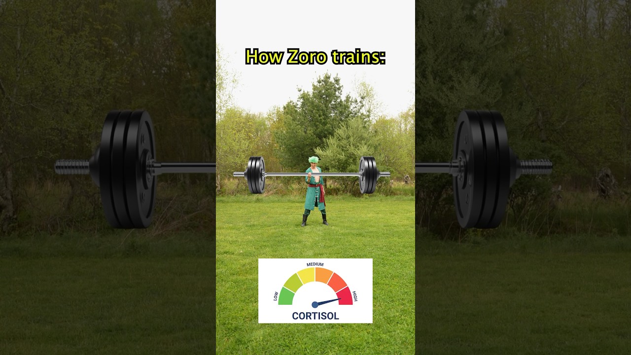 How Zoro & Mihawk train… #anime #onepiece #zoro #mihawk