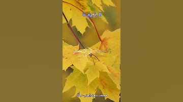 آيات من سورة التوبة #قران_كريم #محمد_سعيد_أيوب_صلال