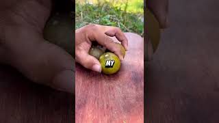 The Most Chill Mom Ever