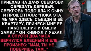 видео: ПРИЕХАВ НА ДАЧУ, СВЕКРОВЬ ШЕПНУЛА СЫНУ- «СМЕНИ ЗАМКИ В ЕЁ КВАРТИРЕ!» — А ВЕРНУВШИСЬ- «МАМ, ТАМ... картинка: ПРИЕХАВ НА ДАЧУ, СВЕКРОВЬ ШЕПНУЛА СЫНУ- «СМЕНИ ЗАМКИ В ЕЁ КВАРТИРЕ!» — А ВЕРНУВШИСЬ- «МАМ, ТАМ...
