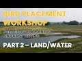 Bird placement workshop  bird placement in retriever training and hunt testing part 2