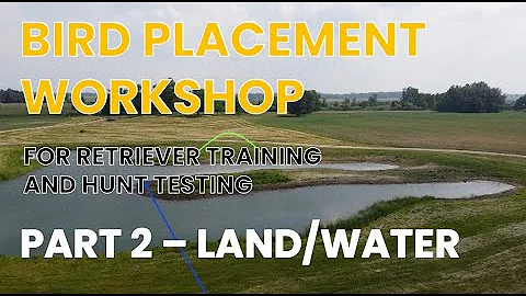 BIRD PLACEMENT WORKSHOP - BIRD PLACEMENT IN RETRIEVER TRAINING AND HUNT TESTING PART 2