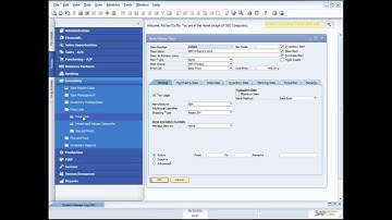SAP Business One 8.8 Inventory Functionality Demonstration