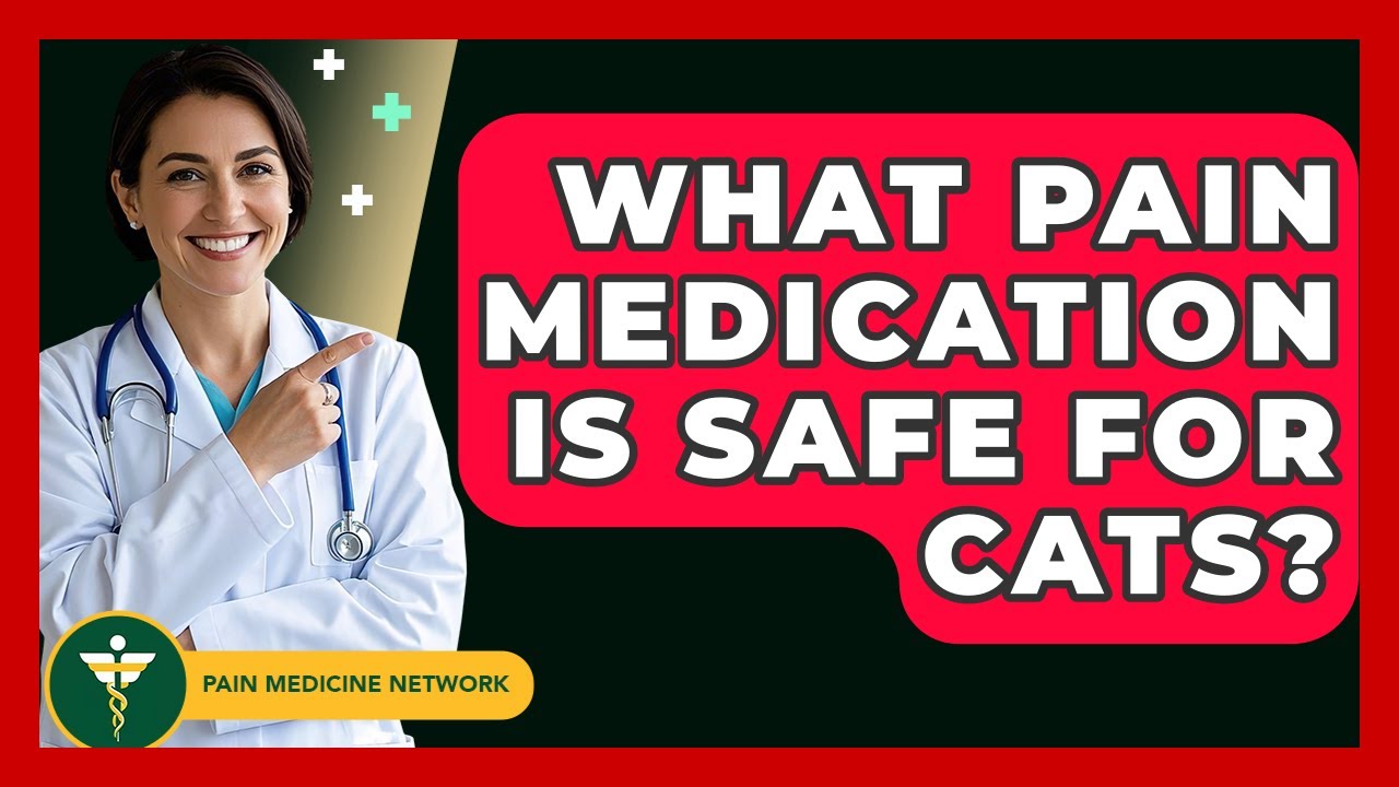 What Pain Medication Is Safe For Cats? - Pain Medicine Network