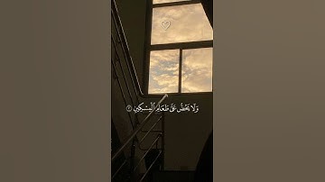 أَرَأَيْتَ الَّذِي يُكَذِّبُ بِالدِّينِ |  سورة الماعون | ياسر الدوسري