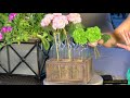 Vintage Wooden Crate of Glass Bottle Vases Vintage Wooden Crate of Glass Bottle Vases