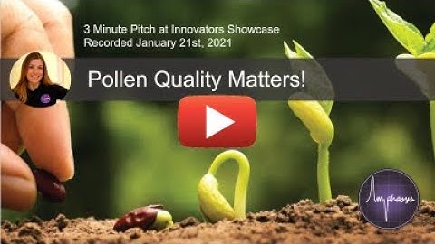 Amphasys - Because Pollen Quality Matters