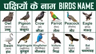 birds names in english and hindi with pdf |पक्षियों के नाम | Birds name in hindi and english