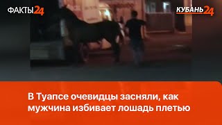 В Туапсе очевидцы засняли, как мужчина избивает лошадь плетью