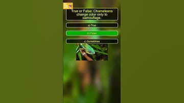 Why Do Chameleons Really Change Color? 🦎🌈❓