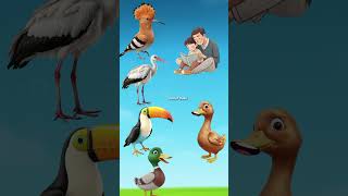 Pyare Bird Ka Papa Kahan h #funforkids