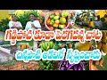   1500   best garden   balreddy