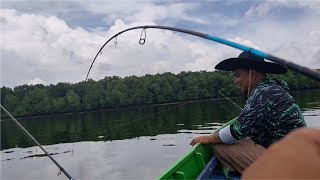 Download Lagu MANCING di MUARA joran UL melengkung tajam dihajar ikan GT MP3