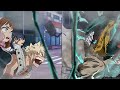 Boku no Hero Academia Season 5「AMV」- I'm A Monster