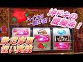 【沖ドキ】リセット狙い実践【設定変更】