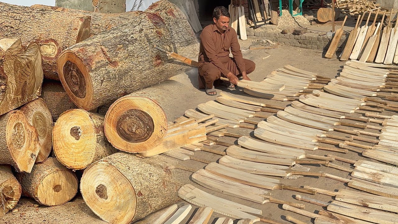 Amazing process of making Cricket Bat | inside factory mass production of wooden cricket bat