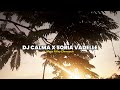 Viral tiktok  dj calma x padelle  rifky fvnky remix 