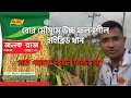 জনকরাজ | বোর মৌসুমের উচ্চ ফলনশীল হাইব্রিড ধান |