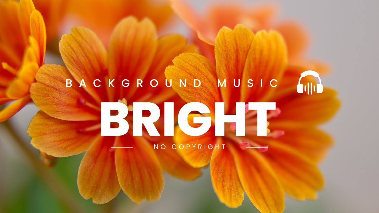 Free Download Bright Music Background No Copyright 2022 by SLM For Video  Editing Upbeat Background - YouTube