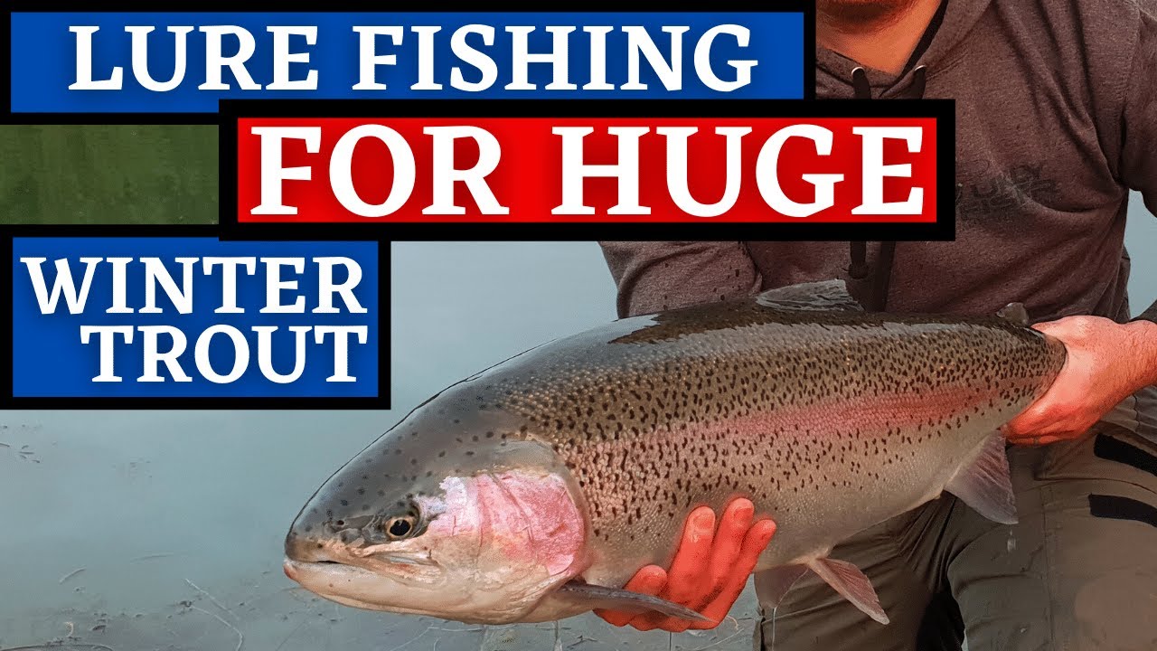 Fly Fishing for Trout in Winter Ellerdine Lakes UKFlyFisher YouTube