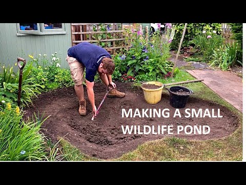 Making a Small Wildlife Pond - Timelapse - 4K