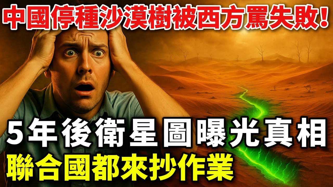 中國突然停種沙漠樹，被西方罵治沙失敗！5年後衛星圖曝光，聯合國都來抄作業