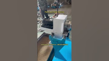 Revolutionary Fish Feed Pellet Machine: Crafting High-Quality Floating Feed Pellets! #aquarius