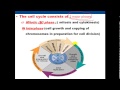 Cell Biology -- Cell Cycle (1) -- Mitosis الإنقسام المتساوي