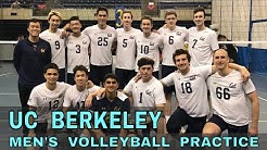 UC Berkeley Men's Volleyball Team Practice Vlog (Coach Donny) 