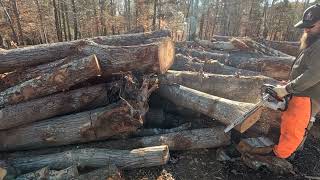 Ported Stihl 500i screaming wood monster by 417 saw shop 4,870 views 5 months ago 14 minutes, 4 seconds