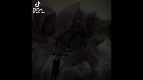 تلاوة خاشعة لشيخ محمد اللحميدان 🥹 #trend #اكسبلور #القرآن #tiktokvideo #تيك_توك