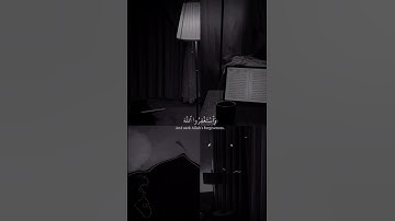 واستغفروا الله إن الله غفور رحيم || سوره المزمل || القارئ شريف مصطفى #قرآن