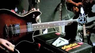 Schecter Lecciones