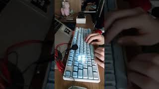 Royal Kludge TKL RK987: Typing Test + Lighting Modes
