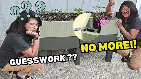 The BEST Self-watering Planter? Vego Garden EZCube Review + Setup | No More Dead Plants!