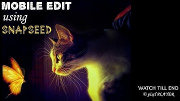 Manipulation of a photo with mobile in snapseed app.