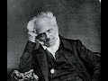 Schopenhauer  choisiton dtre celui que lon est  essai sur le librearbitre