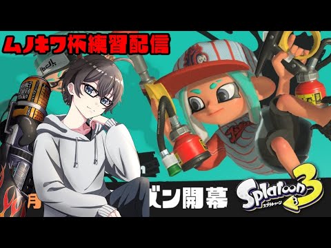 【XP3000↑】ムノキワ杯練習配信　頑張ってみた【Vtuber】