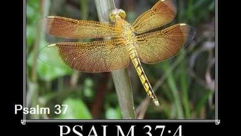 Psalm 37 (with text - press on more info.)