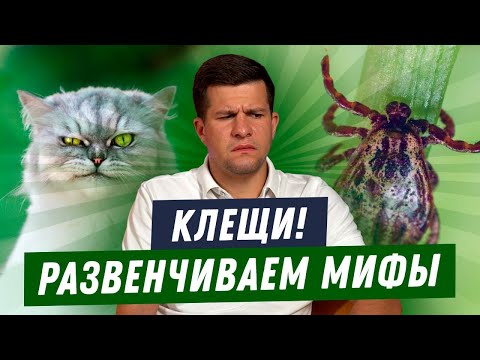 КАК ЗАЩИТИТЬ СОБАКУ ОТ КЛЕЩЕЙ? | КОРОТКО О ВАЖНОМ