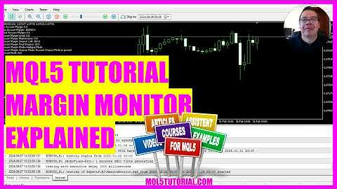 MQL5 TUTORIAL - Margin Monitor explained (in 4 min)